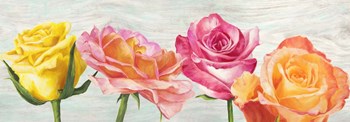 Funky Roses by Jenny Thomlinson art print