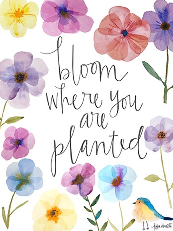 Bloom Where You Are Planted by Katie Doucette art print