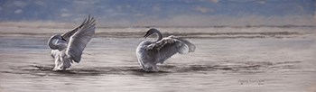 Dance of the Swans by Lesley Harrison art print