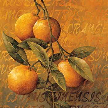 Orange Branch by Linda Thompson art print