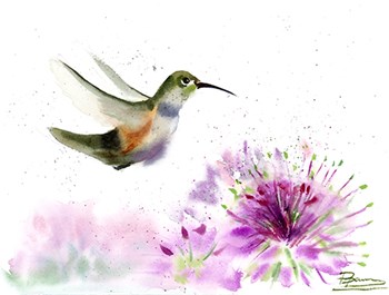 Hummingbird by Olga Shefranov art print