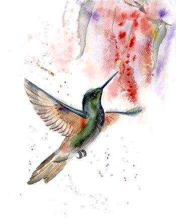 Hummingbird II by Olga Shefranov art print