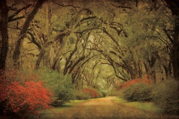 Road Lined With Oaks &amp; Flowers by William Guion art print