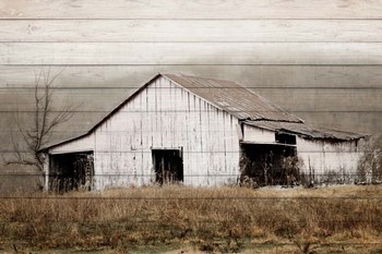 White Barn on Wood by Andy Amos art print