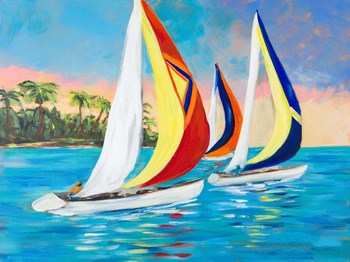 Morning Sails II by Julie DeRice art print