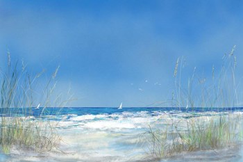 Grassy Seascape by Julie DeRice art print