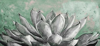 Gray Agave on Green by Patricia Pinto art print