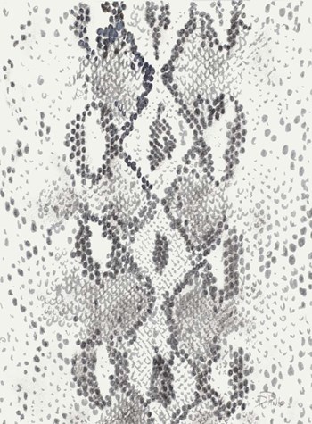 Snake Skin by Patricia Pinto art print