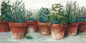 Pots of Herbs II White by Carol Rowan art print