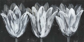 White Trio on Black I by Jennifer Goldberger art print