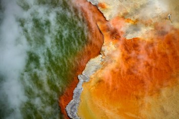 Champagne Pool And Artists Palette, Waiotapu Thermal Reserve, North Island, New Zealand by David Wall / Danita Delimont art print