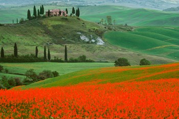 Europe, Italy, Tuscany The Belvedere Villa Landmark And Farmland by Jaynes Gallery / Danita Delimont art print