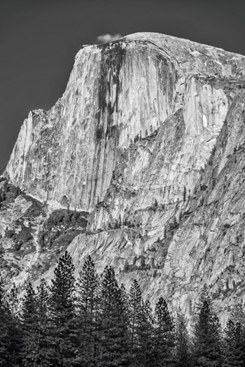 California, Yosemite, Half Dome by John Ford / DanitaDelimont art print