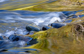 Oregon Abstract Of Autumn Colors Reflected In Wilson River Rapids by Jaynes Gallery / Danita Delimont art print