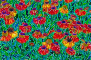 Oregon, Coos Bay, Abstract Of Helenium Flowers In Garden by Jaynes Gallery / Danita Delimont art print