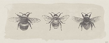 Three Bees by Kyra Brown art print