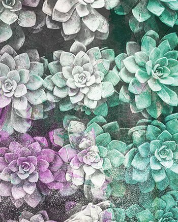 Colored Succulents by Kyra Brown art print