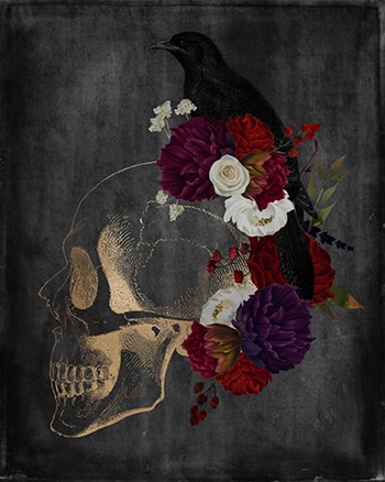 Skull Raven by Kyra Brown art print