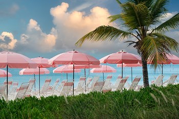 Pink Umbrella by Dennis Frates art print