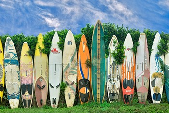 Surfboards by Dennis Frates art print