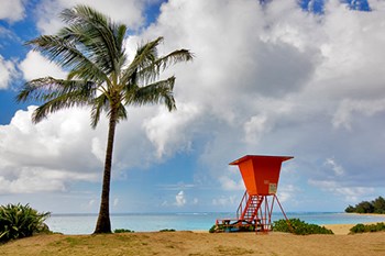 Lifeguard Tower by Dennis Frates art print