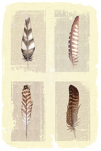 Traditional Figurative Feathers by ND Art &amp; Design art print