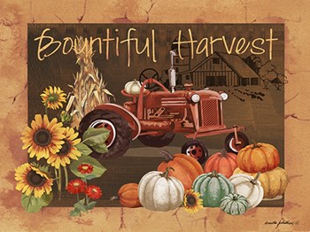 Bountiful Harvest IV by Anita Phillips art print