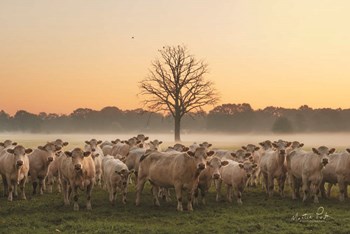 Just Come Cows and A Dead Tree by Martin Podt art print