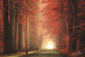 Way to Red by Martin Podt art print
