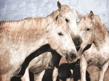 White Horse by Bluebird Barn art print