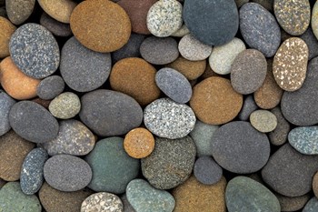 Close-Up Of Beach Rocks by Jaynes Gallery / Danita Delimont art print