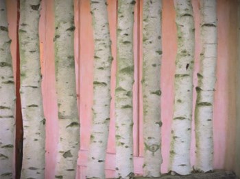 Birch Logs On Pink by Graffitee Studios art print