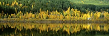Osterdalen Glomma River, Koppang, Norway by Panoramic Images art print