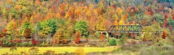Cantilever Bridge And Autumnal Trees In Forest, Central Bridge, New York State by Panoramic Images art print