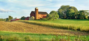 Field With Silo And Barn In The Background, Ohio by Panoramic Images art print