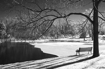 Heritage Pond In Winter by Monte Nagler art print