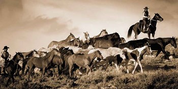 Gathering the Herd by Wendy Caro art print