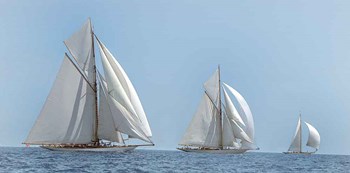 Three Sails by Xavier Ortega art print