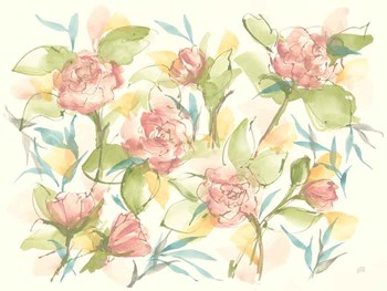 Blush Camellias by Chris Paschke art print