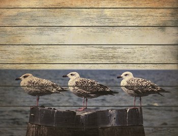 Vintage Seagulls by Susan Ball art print