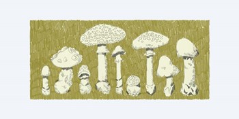 Forest Fungi I by Jacob Green art print