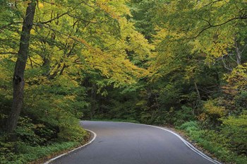 Smugglers Notch Road by Alan Majchrowicz art print