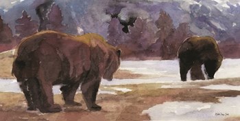 Montana Bears by Stellar Design Studio art print