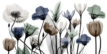 Floral Neutrals 1 by Albert Koetsier art print