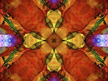 Colorful Kaleidoscope 10 by Anna Miller / Danita Delimont art print