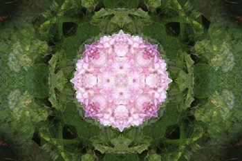 Colorful Kaleidoscope 12 by Anna Miller / Danita Delimont art print