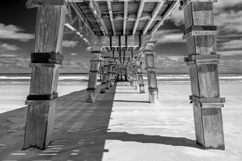 Daytona Beach Pier, Florida by Lisa S. Engelbrecht / Danita Delimont art print