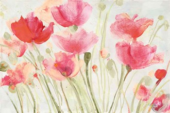 Blush Poppies by Albena Hristova art print