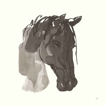 Horse Portrait I by Chris Paschke art print
