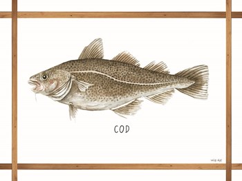 Cod on White by Cindy Jacobs art print